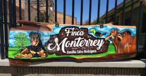 141614852 2887977818151652 6371446425196870645 n