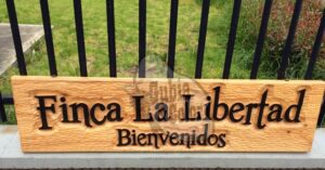 472356026 3943455005937256 7557589338121647308 n