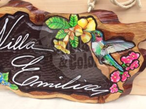 50801695 2301551056794334 5881832152798068736 n