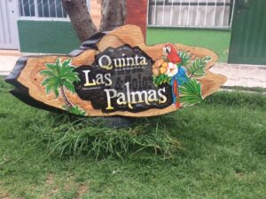 50891664 2301550876794352 3996022363719204864 n