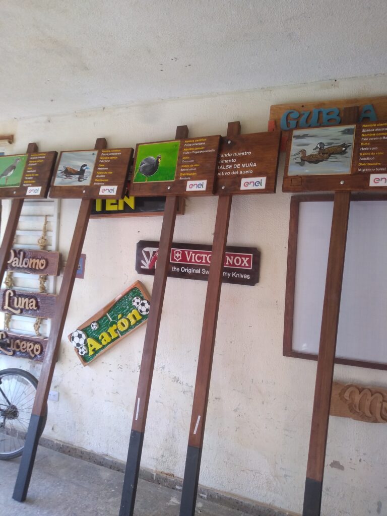 img 20230429 163933059