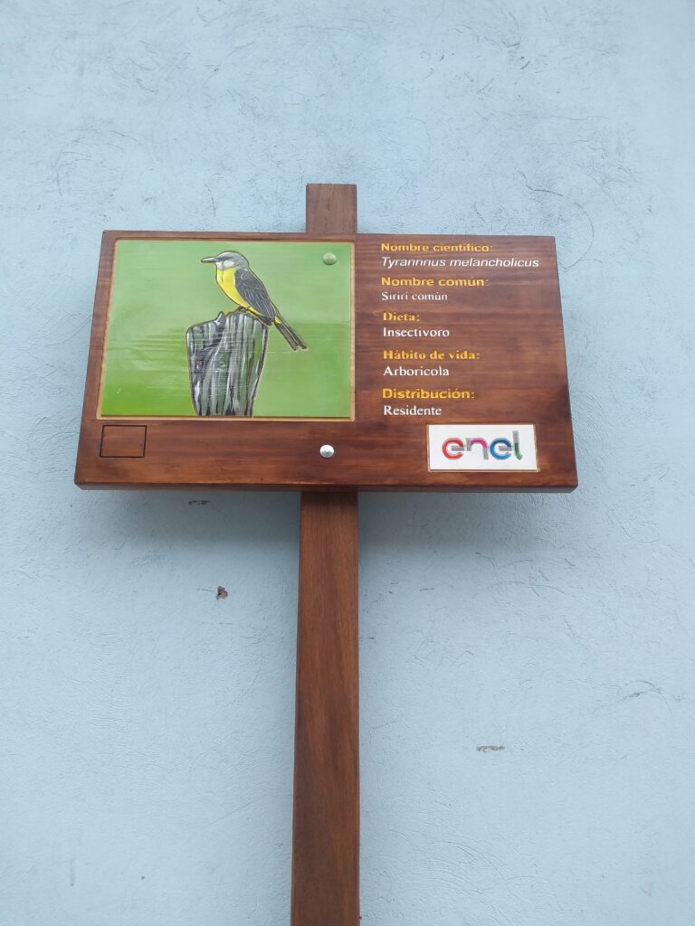 img 20230501 113655944