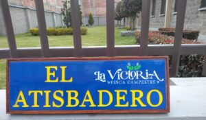 whatsapp image 2026 01 03 at 10.17.12 am (17)