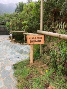 whatsapp image 2026 01 03 at 10.28.55 am (12)