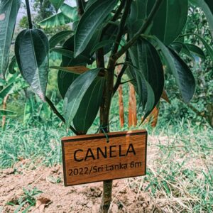 whatsapp image 2026 01 03 at 10.28.56 am (11)