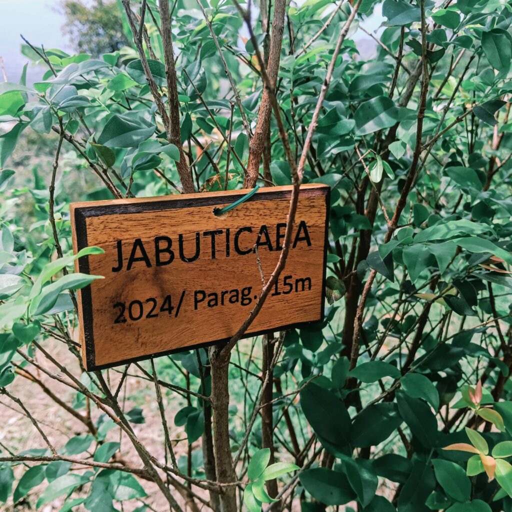 whatsapp image 2026 01 03 at 10.28.56 am (12)