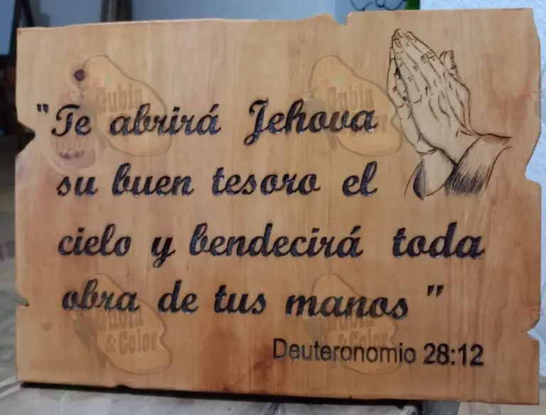 whatsapp image 2026 01 03 at 5.42.28 pm (2)