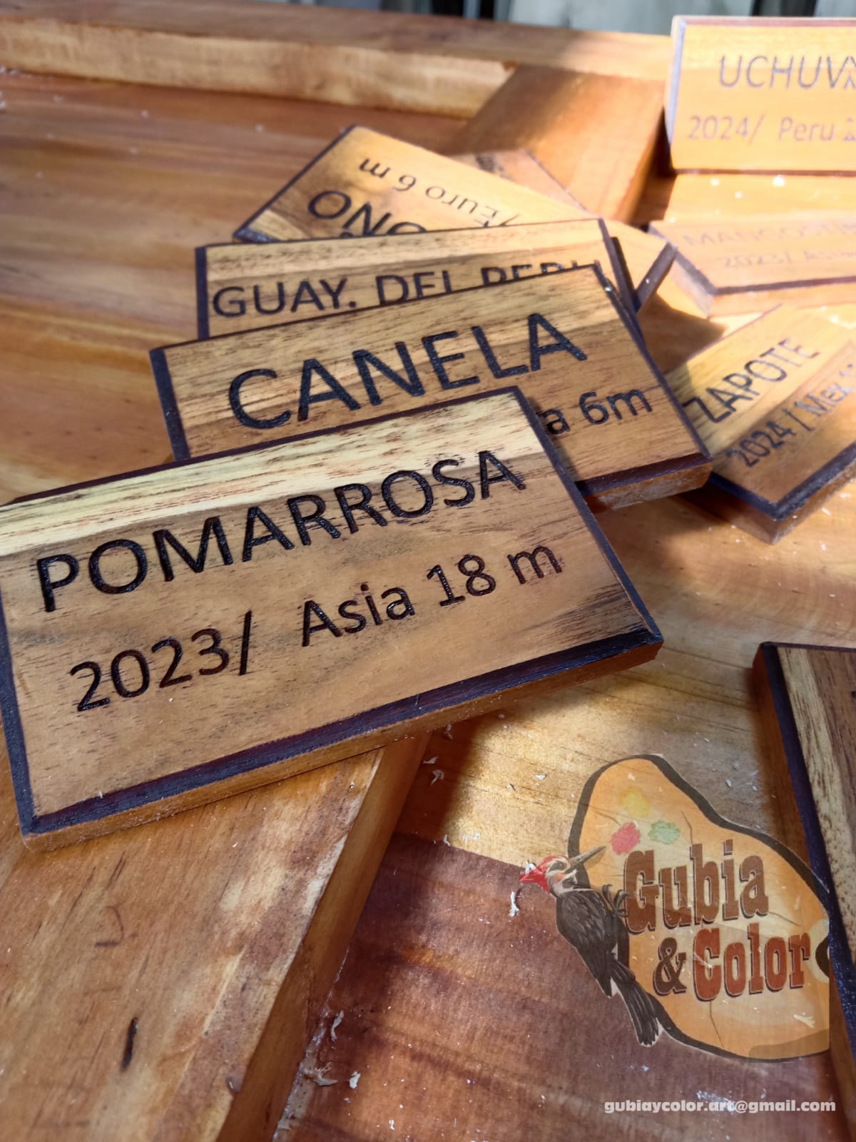 WhatsApp Image 2026 01 03 At 5.44.34 PM