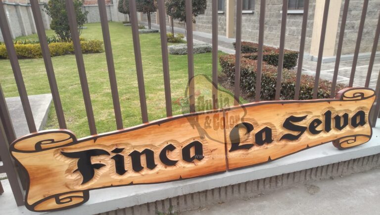 whatsapp image 2026 01 03 at 5.58.01 pm (3)