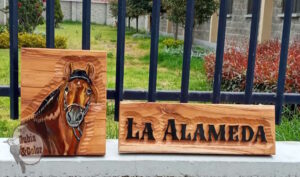 alamedapequeñocallballomark