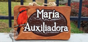 mariaauxiliadora